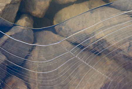 Thin Ice over Rocks, Canadian Rockies : Views of the Land : Evelyn Jacob Photography