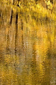 Reflections, Difficult Run, Virginia : Views of the Land : Evelyn Jacob Photography