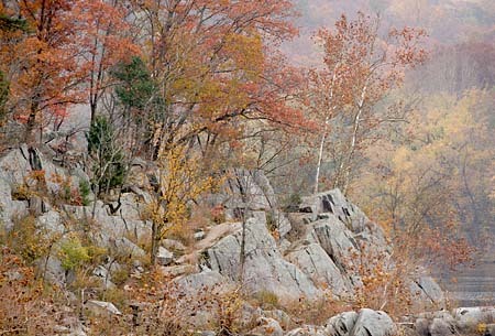 River Fog, Potomac River Gorge, Maryland : Views of the Land : Evelyn Jacob Photography