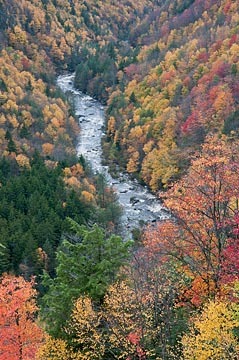 Blackwater Canyon, West Virginia : Views of the Land : Evelyn Jacob Photography