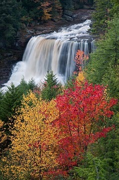 Blackwater Falls, West Virginia : Views of the Land : Evelyn Jacob Photography